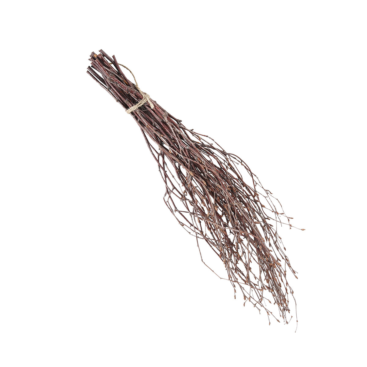 10Pcs 40Cm Premium Birch Branc - Embellish Craft recension och pris